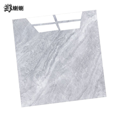 洋蝲蝲 瓷砖 800x800 块