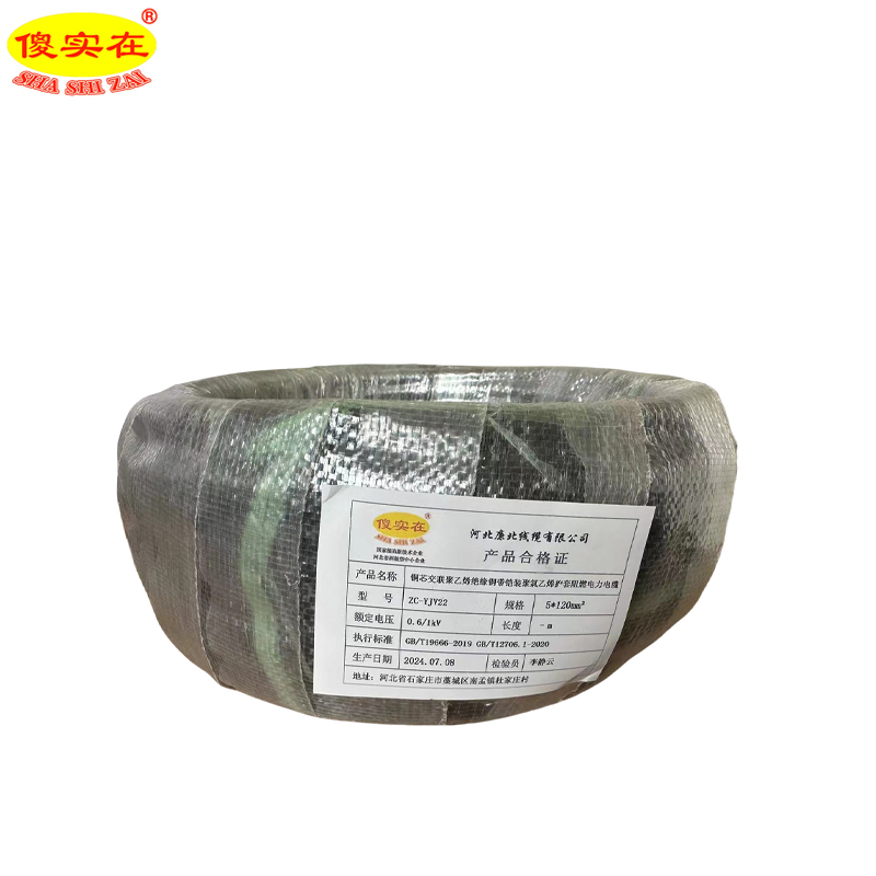傻实在 电缆 国标全项保检 ZC-YJV22 5*120mm² 米