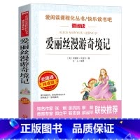 爱丽丝漫游奇境记 [正版]爱丽丝梦游奇境记 六年级下册快乐读书吧阅读课外书籍原著青少年版小学生读物非必读书目儿童文学经