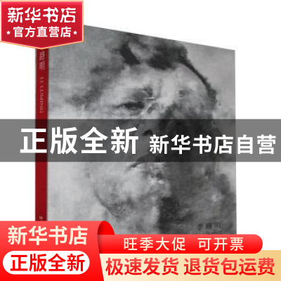 正版 李路明 未知 湖南美术出版社 9787535682604 书籍