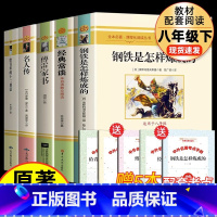 [配套人教版5册]八年级下册必读 [正版]书籍 经典常谈和钢铁是怎样炼成的初中原着傅雷家书八年级下册必读书文学名著完整版