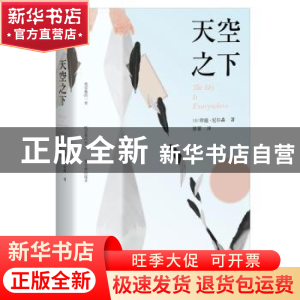 正版 天空之下 [美]珍迪·尼尔森 著,记忆坊出品,有容书邦 发行