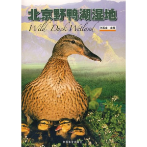 正版新书]北京野鸭湖湿地刘玉金9787503847776