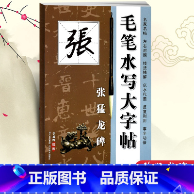 [正版]毛笔水写大字帖 张猛龙碑 毛笔书法字帖 新手描红临摹川美
