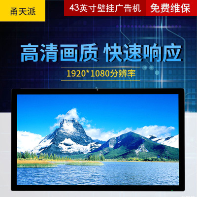甬天派TOPIT-T19BRA043-1壁挂式43英寸广告机