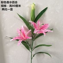 粉色香水百合花图片 粉色香水百合花图片大全 苏宁易购