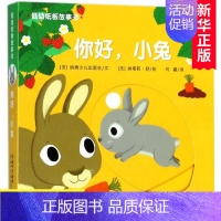 [正版]你好 小兔 低幼纸板故事书-3岁启蒙认知宝宝早教玩具书籍 4-5-6周岁儿童撕不烂绘本图书 婴幼儿园立体洞洞翻翻