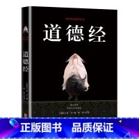 [正版]道德经 国学经典精粹 中国哲学原文译注国学经典系列四书五经初中生高中课外阅读版白话文