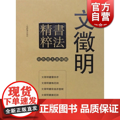 文徵明书法精粹 彩色放大本特辑 孙宝文 书法碑帖 文学艺术 正版图书籍 上海辞书 世纪出版