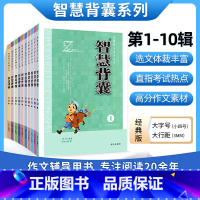 智慧背囊1-10辑 小学通用 [正版]智慧背囊1-5辑共五本智慧背囊大全集南方出版社初中版小学版课外阅读书籍语文必读作文