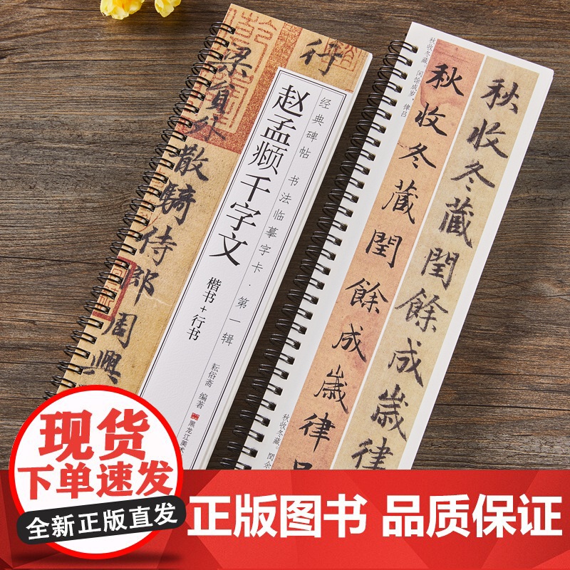 赵孟頫行书楷书千字文书法毛笔字帖元赵孟俯赵体原大版全文经典碑帖成人学生初学者基础入门书法临摹字卡近距离临帖卡附简体旁注