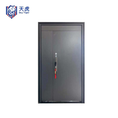 天虎 防盗门 TH-fdm子母款 个
