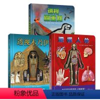 透视系列全3册 [正版]透视木乃伊 科普类书籍百科全书儿童版趣味儿童百科全书木乃伊书籍幼儿百科读物3一6儿童历史百科绘本