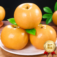 [熊猫鸟]新鲜山东秋月梨 净重3斤 单果250g+ 新鲜当季水果 现摘现发 香甜可口