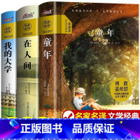 [全3册]高尔基三部曲 [正版] 高尔基的三部曲全3册 精装无删减 童年高尔基 在人间和我的大学全译本小学初中生阅读名著