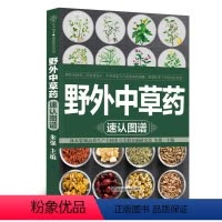 [正版]野外中草药速认图谱 中草药图谱 辨识查用 植物形态