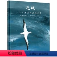迁徙 不可思议的动物之旅 [正版]直营迁徙 不可思议的动物之旅 领略20种动物令人惊叹的迁徙之旅 3-7岁儿童科普绘本图