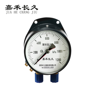 嘉禾长久 双针表 YZS-102 24V带灯 台