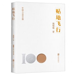[N]贴地飞行/中国小说100强-9787559670878
