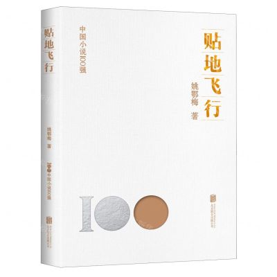 [N]贴地飞行/中国小说100强-9787559670878