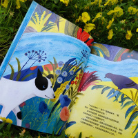 捡到一个洞 [正版]麦田精选图画书 你相信有大海吗 我是大象 桌子就是桌子 特别的一天 当奶奶遇见奇奇狗 魔法画家3-6