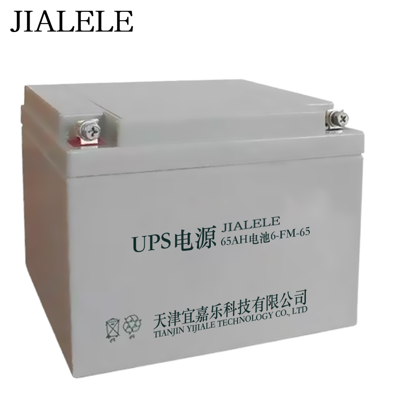 JIALELEUPS电源蓄电池12V 45Ah