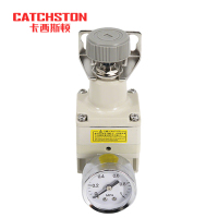 卡西斯顿 精密调压阀 IR1000 个