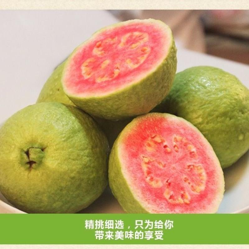 【送酸梅粉】当季红心芭乐番石榴新鲜水果 红心芭乐番石榴5斤装(推荐)