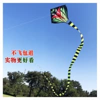 潍坊青蛇风筝 成人风筝15米/30米竹叶青蛇风筝长尾初学者微风易飞创意 三维工匠 15米长尾蛇(仅风筝)