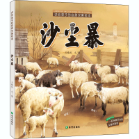 音像讲给孩子的自然灾害绘本 沙尘暴王椿然