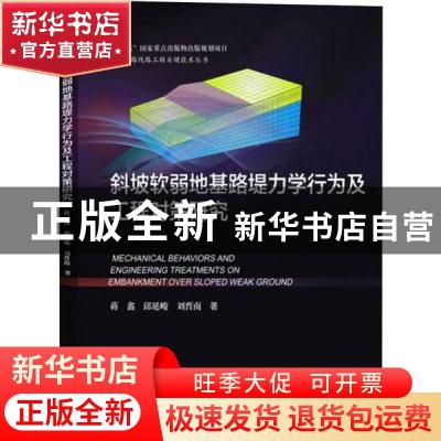 正版 斜坡软弱地基路堤力学行为及工程对策研究 蒋鑫 西南交通大