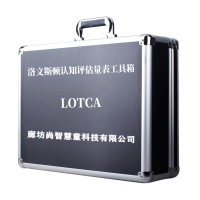尚智慧童SZHT-LOTCA01 洛文斯顿(LOTCA)认知评估工具箱心理解压玩具