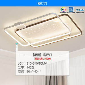 雷士照明[星雨]新款舒适光大瓦数北欧星空灯客厅主灯现代简约吸顶灯中山灯具