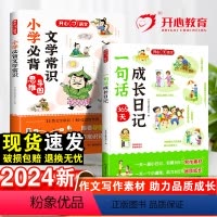 [2本套]文学常识+一句话日记 小学通用 [正版]2024一句话日记一年级二三年级语文作文起步入门写作训练小学生必背文学