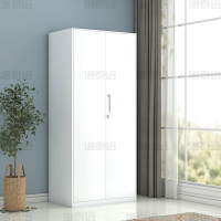 洛泰远 阳台柜单门衣柜钢制储物柜铁皮柜 白色双门衣柜900mm宽