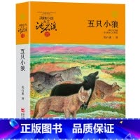 五只小狼 [正版]沈石溪动物小说品藏书系列全集36册 斑羚飞渡第七条猎狗后一头战象雪豹悲歌珍藏版全套画本生肖