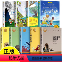 四年级阅读课外书 全9册 [正版]四年级阅读课外书 妈妈走了昆虫记总有一天会长大青鸟秘密花园草原上的小木屋适合中小学生读