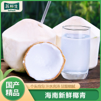 [苏鲜生]海南椰青 6个装 新鲜椰子 当季热带水果 汁水充沛
