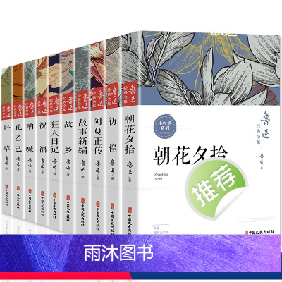鲁迅经典全集(10本) [正版]鲁迅经典全集10册原著朝花夕拾狂人日记故乡呐喊野草故事彷徨阿Q正传孔乙己六七年级课外书小