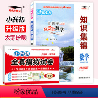 套装2本[知识集锦+全真测试卷] 小学通用 [正版]2023知识集锦 数学 升级版全国通用 小学生一二三四五六年级数学基