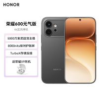 荣耀600 元气版 8GB 256GB
