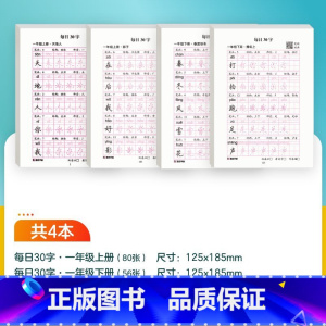 [语文]一年级上+一年级下 [正版]每日一练英语字母单词练字帖小学生每日30字一二三年级字帖练字减压语文同步练字帖每日一