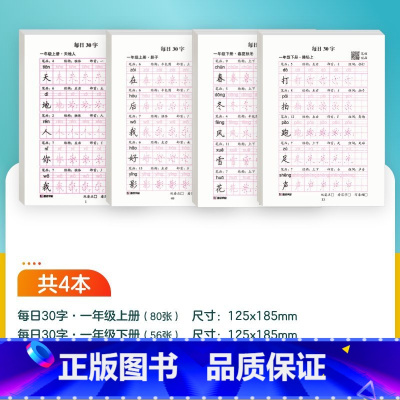 [语文]一年级上+一年级下 [正版]每日一练英语字母单词练字帖小学生每日30字一二三年级字帖练字减压语文同步练字帖每日一