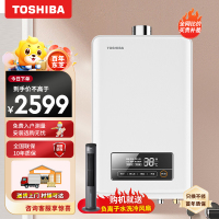 东芝(TOSHIBA)(TOSHIBA) 燃气热水器 12T天然气 变频节能 电辅防冻 日本原 1JSQ25-TS1