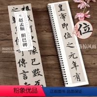 [正版]共3本 元赵孟頫胆巴碑碑帖临摹卡 洪亮编 简体旁注赵体楷书毛笔字帖书法成人学生临摹单行临摹范本古帖 安徽美术出