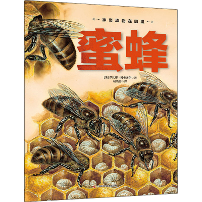 [M]蜜蜂-9787557878214