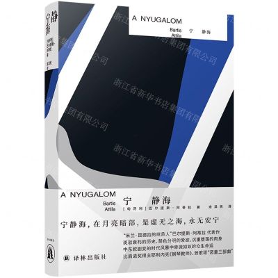 [N]宁静海-9787544789677