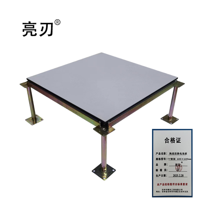 亮刃 陶瓷防静电地板砖 TY钢架 600×600mm 块