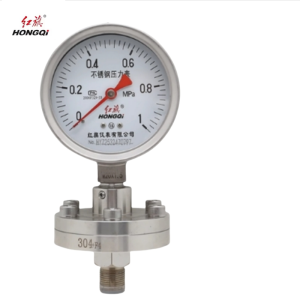 红旗 不锈钢隔膜压力表YTP-100BF/ML 1MPA 块