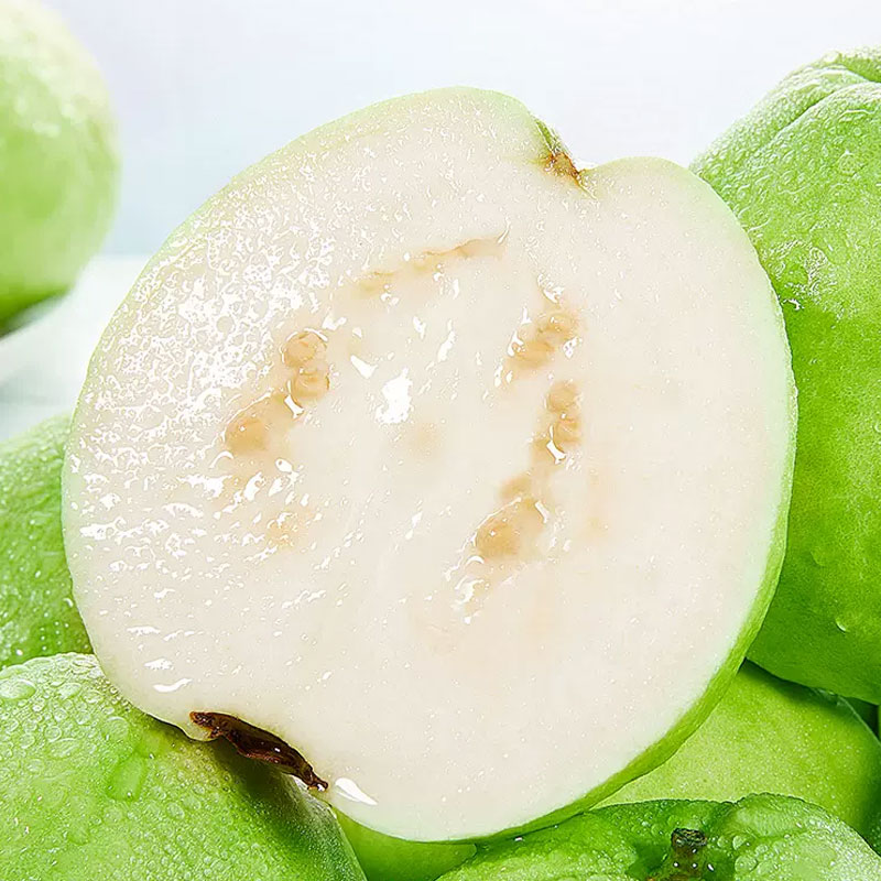 [熊猫鸟]新鲜白心芭乐 番石榴 净重5斤装 新鲜水果 甘甜可口